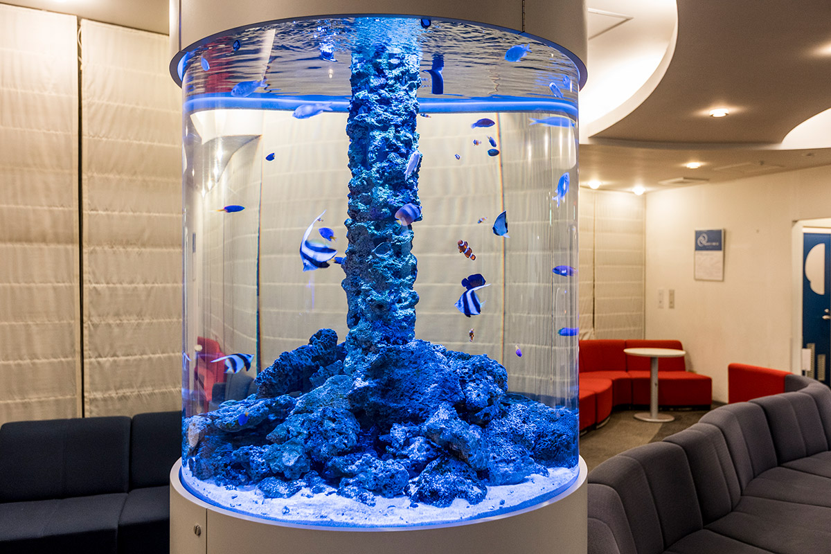 宇都宮胃腸肛門クリニック